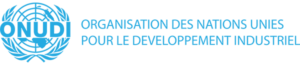 creative-tunisia-partenaires-onudi